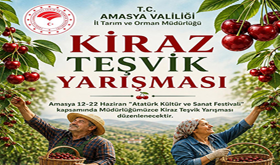 Amasya’da Altın Kiraz Heyecanı: Festival Kapsamında Yarışma Düzenleniyor!