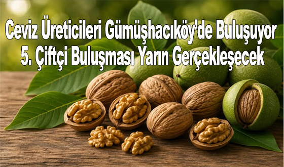 Ceviz Üreticileri Gümüşhacıköy’de Buluşuyor: 5. Çiftçi Buluşması Yarın Gerçekleşecek