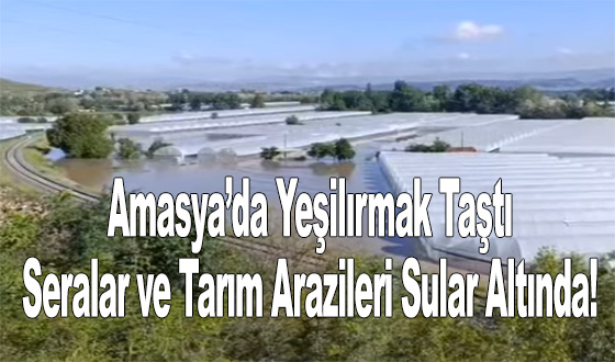 Amasya’da Yeşilırmak Taştı: Seralar ve Tarım Arazileri Sular Altında!