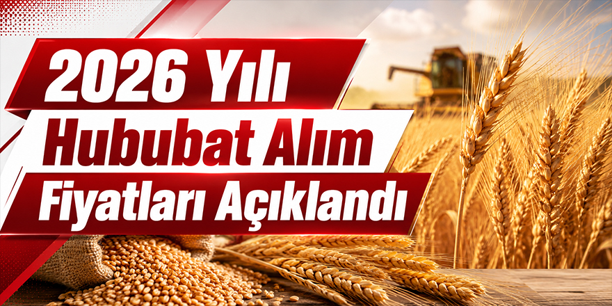TMO 2026 Yılı Hububat Alım Fiyatlarını Açıkladı! 