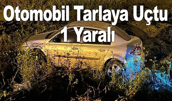 Otomobil Tarlaya Uçtu: 1 Yaralı
