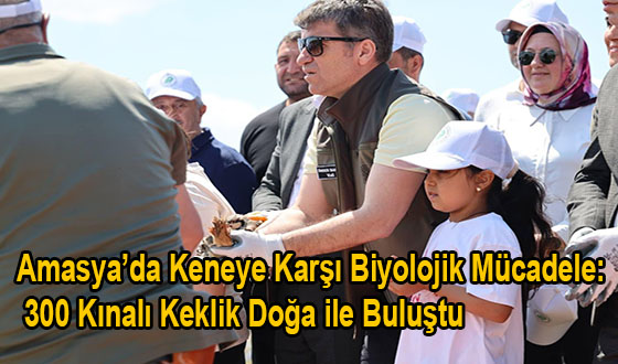 Amasya’da Keneye Karşı Biyolojik Mücadele: 300 Kınalı Keklik Doğa ile Buluştu