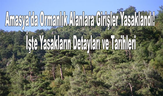 Amasya'da Ormanlık Alanlara Girişler Yasaklandı! İşte Yasakların Detayları ve Tarihleri