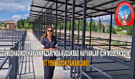 GÜMÜŞHACIKÖY HAYVAN PAZARI’NDA KÜÇÜKBAŞ HAYVANLAR İÇİN MODERN ADIM: 37 YENİ PADOK TAMAMLANDI!