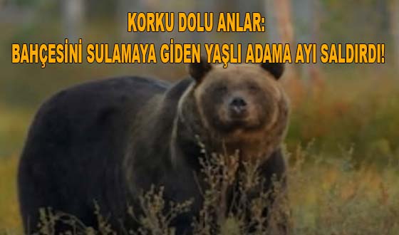 KORKU DOLU ANLAR: BAHÇESİNİ SULAMAYA GİDEN YAŞLI ADAMA AYI SALDIRDI!