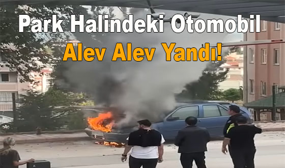 Park Halindeki Otomobil Alev Alev Yandı!