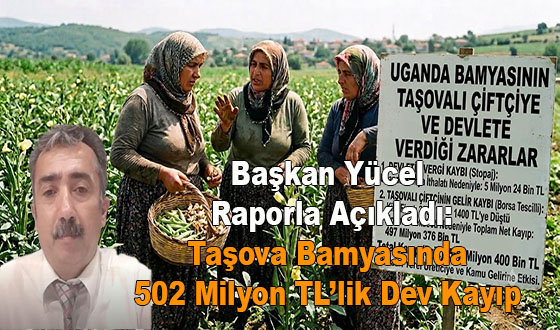 Başkan Yücel Raporla Açıkladı: Taşova Bamyasında 502 Milyon TL’lik Dev Kayıp