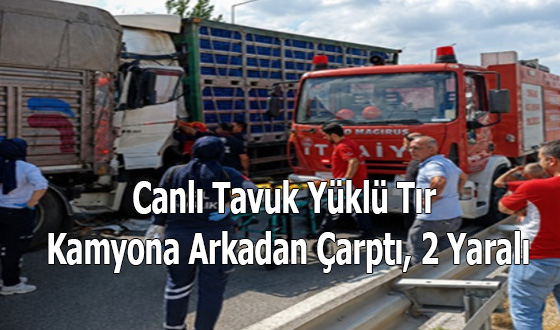 Canlı Tavuk Yüklü Tır Kamyona Arkadan Çarptı, 2 Yaralı