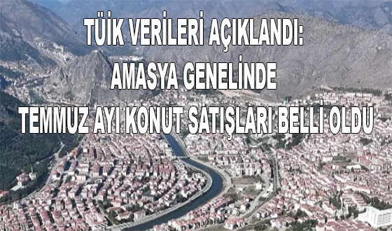 TÜİK VERİLERİ AÇIKLANDI: AMASYA GENELİNDE TEMMUZ AYI KONUT SATIŞLARI BELLİ OLDU
