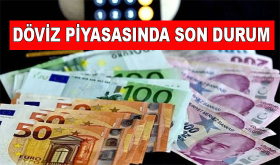 DÖVİZ PİYASASINDA SON DURUM: DOLAR VE EURO KAÇ TL OLDU? (20 AĞUSTOS 2026)