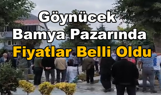Göynücek Bamya Pazarında Fiyatlar Belli Oldu