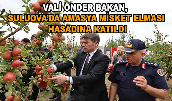 VALİ ÖNDER BAKAN, SULUOVA’DA AMASYA MİSKET ELMASI HASADINA KATILDI