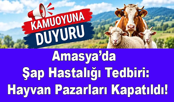 Amasya’da Şap Hastalığı Tedbiri: Hayvan Pazarları Kapatıldı!