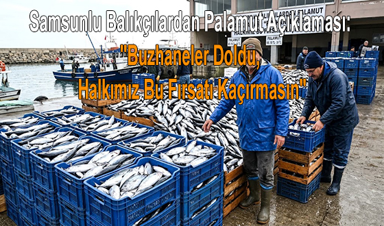 Samsunlu Balıkçılardan Palamut Açıklaması: 