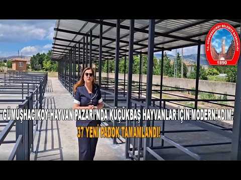 GÜMÜŞHACIKÖY HAYVAN PAZARI’NDA KÜÇÜKBAŞ HAYVANLAR İÇİN MODERN ADIM: 37 YENİ PADOK TAMAMLANDI!